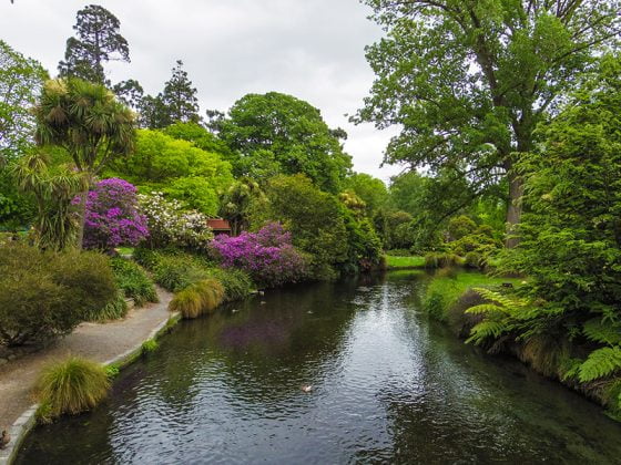 Christchurch Botanik Bahceleri - Avon Nehri