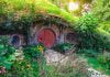 Yüzüklerin Efendisi Hobbit Köyü Gezim | Yeni Zelanda Hobbit Evleri Hobbiton-1