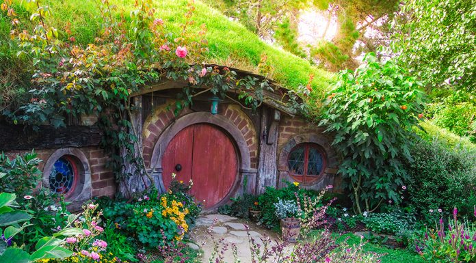 Yüzüklerin Efendisi Hobbit Köyü Gezim | Yeni Zelanda Hobbit Evleri Hobbiton-1