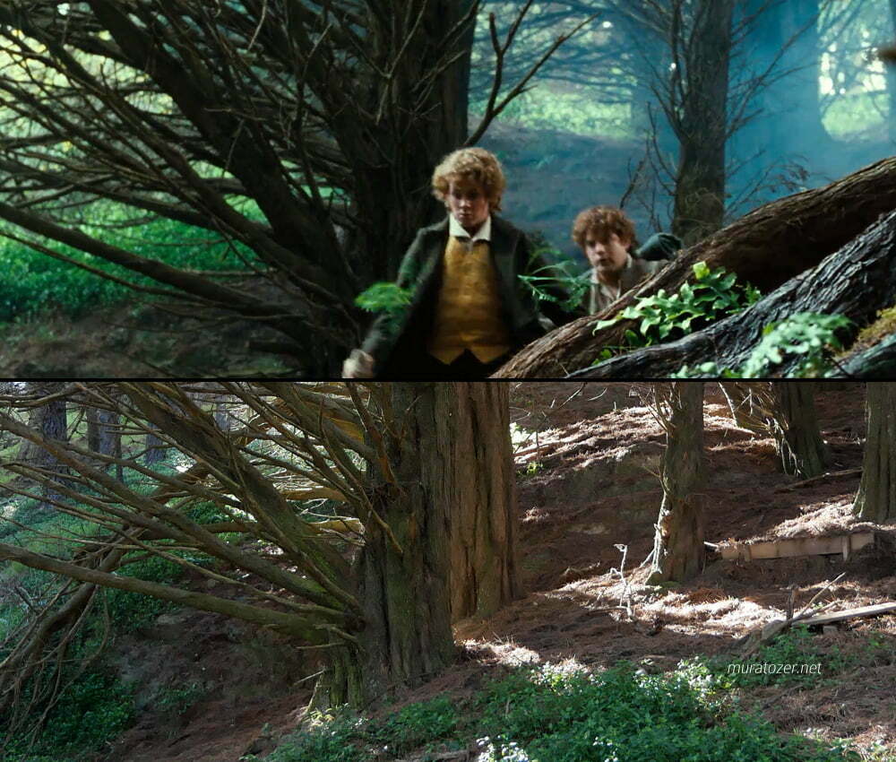 Hobbitler yoldan kaçarken.