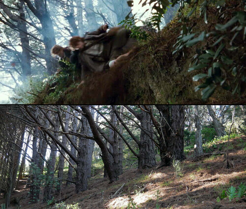 Hobbitlerin Çiftçi Tırtıl'dan kaçarken yuvarlandıkları yer.